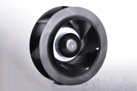 直流无刷草莓视频下载APP