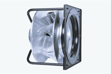 无蜗壳直流草莓视频下载APP