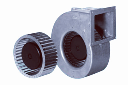 直流草莓视频下载APP